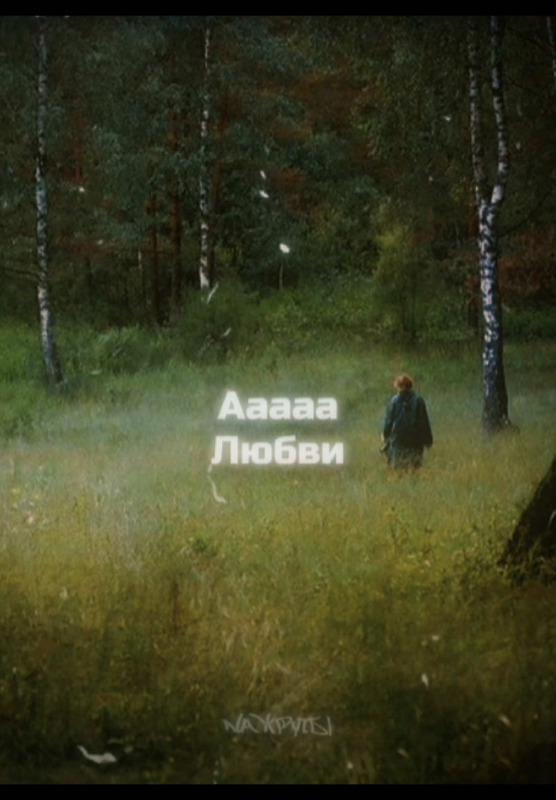 Чиж&Со - О любви. #чиж #олюбви #чижико #чижикомпания #рок#русскийрок