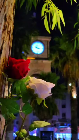 #CapCut #عبارات حلوه تليق لادلب 💚🌎🥹#fyp #tiktok #اعادة_النشر🔃 #سراقب #tiktoklongs #الشعب_الصيني_ماله_حل😂😂 