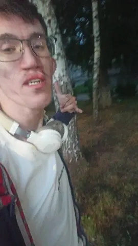 #рекомендации 