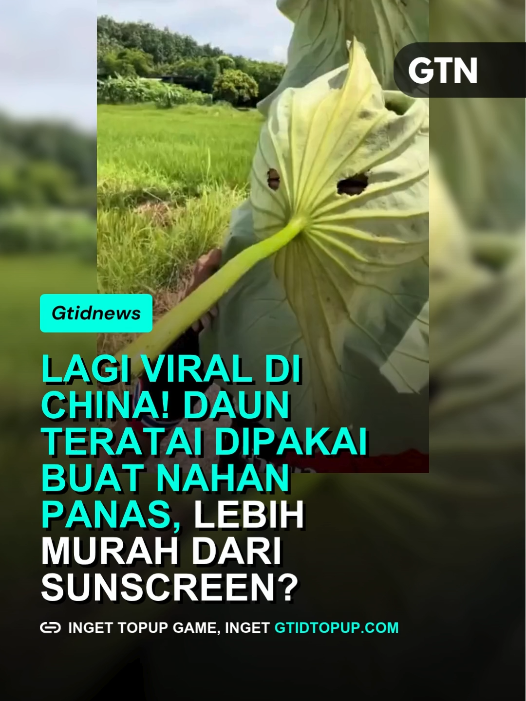 Di tengah gelombang panas, warga China mempopulerkan tren baru: daun teratai dijadikan pelindung matahari. Viral sejak dua pengendara sepeda di Sichuan melakukannya, daun ini kini jadi “topi” DIY alami yang melindungi wajah dari panas dan debu. Meski terkesan lucu, tren ini menunjukkan seriusnya warga China dalam menjaga diri dari sengatan matahari. Sumber: ChinaMinutes