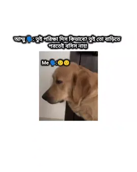 #মেনশন_করুন_আপনার_বন্ধুকে😂 #mdsahed0203 #video #foryou #fypシ #fyp 
