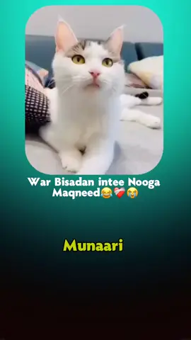 Love Saar😂💕#fyp #munaari #foryoupage #viwesproblem😌🙏💔 #fppppppppppppppppppp #somalitiktok12 #viwesproblem 