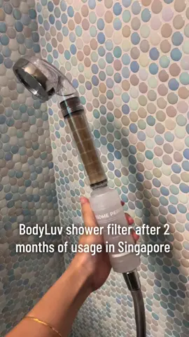 Tap water in Singapore can be consumed but don’t take for granted the quality of your water pipes!! #wellness #water #skincaretips #skinhealth #waterquality #tapwaterfilter #tapwater #showertok #shower 