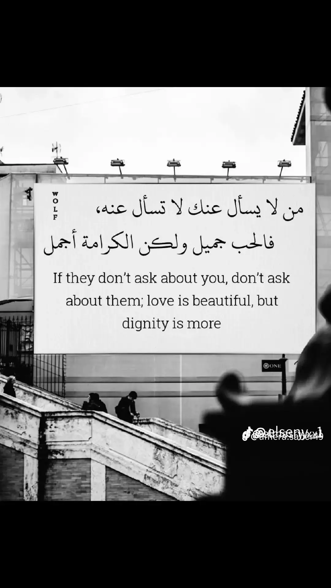 #الديب 