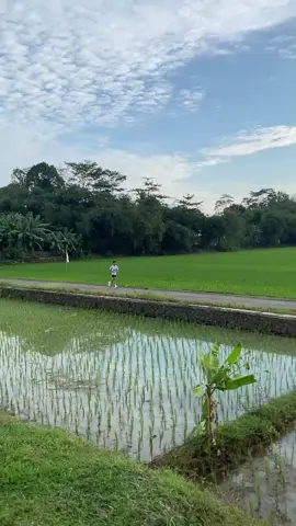 🏃🏼‍♂️ #Running #pemula 