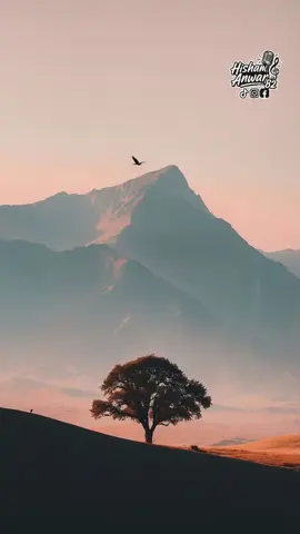 موسيقى مقدمة العلم والإيمان  موسيقى وناى- محمود عفت    #viralvideos  #اكسبلور  #تيك_توك_مصر  #hisham_anwar82  #اتش_بوند  #80s  #العلم_والايمان   