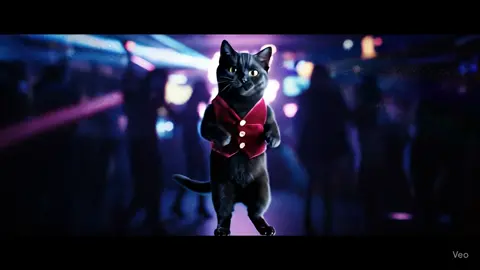 🕺😸 #ai #veo3 #cat #blackcat #musicvideo #cats #dancing #club 