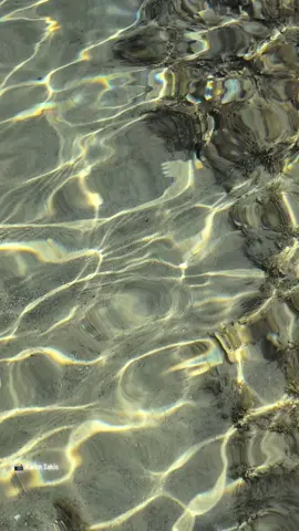 كلمات ليست كالكلمات #كلمات #كلمات_ليست_كالكلمات #يسمعني #يسمعني_حين_يراقصني_كلمات_ليس_كالكلمات #karim_sakis📸 #karim_sakis #ماجده_الرومي #ماجدة_الرومي #ماجدة_الرومي_ملكة_الطرب_العربي🎶🎻🎤🎧 #أنغام #كلمات 