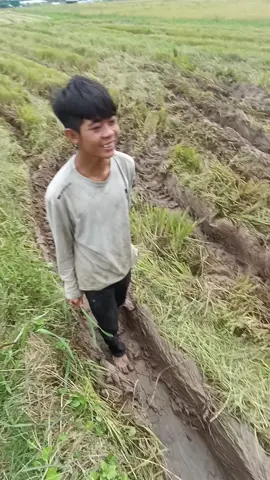 kiểu này báo k ae 🤣  nongdan
