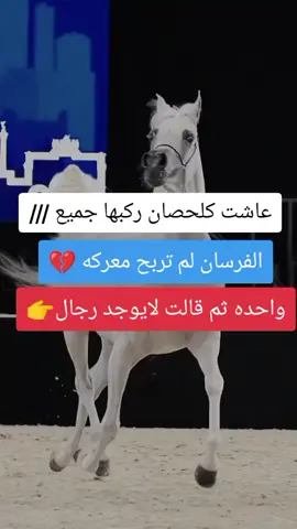 عاشت كلحصان ركبها جميع الفرسان لم تربح معركه واحده ثم قالت لا يوجد رجال  #حسام٢٢ #حسام٢٢ #حسام٢٢ #حسام٢٢ #حسام٢٢ 