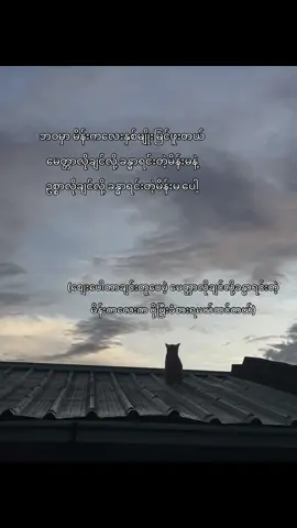 မိန်းမတိုင်းတော့မဟုတ်ဘူးပေါ့#fypシ #livephoto #စာသားcrd #tiktokmyanmar #fypシ 