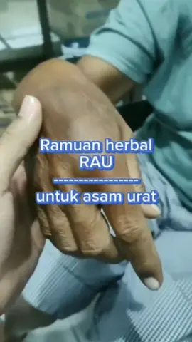 #Ramuan herbal RAU #herbal untuk asam urat #Kumis kucing #daun salam