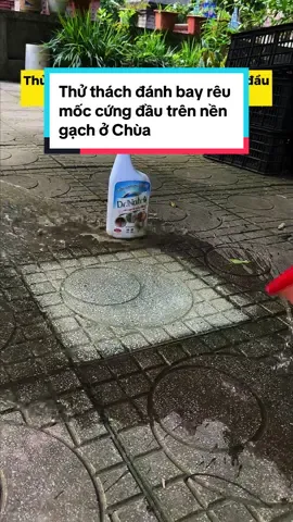 Thử thách đánh bay rêu mốc lâu năm trên nền gạch trong Chùa #ongchuthichlamsach  #xuhuongtiktok  #lamsach  #kinhhienvi  #drnatro 