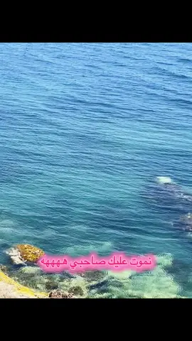 Merci beaucoup sahbi hhhhhh  #fyp 