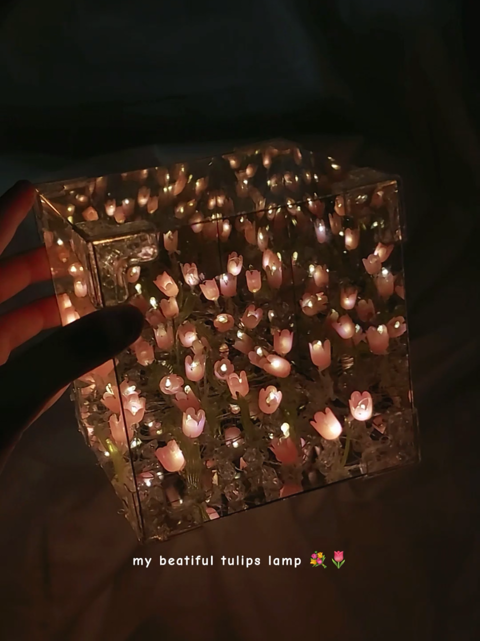 #lamputulip #tulipslamp #tulips #lamp #lamputiktok #lampucantik #lampuaesthetic #tulips #tulipslover 