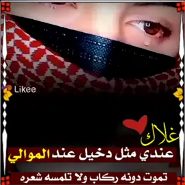 #CapCut #عاده_نشر_فيديو🔄  #creatorsearchinsights  #ابـومـحـمد #مجرد_ذوق 
