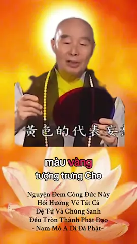 #nammobonsuthichcamauniphat #xuhuong #phatphapnhiemmau #nammoadidaphat #diatangvuongbotat #tinhdo #quantheambotat #danang 