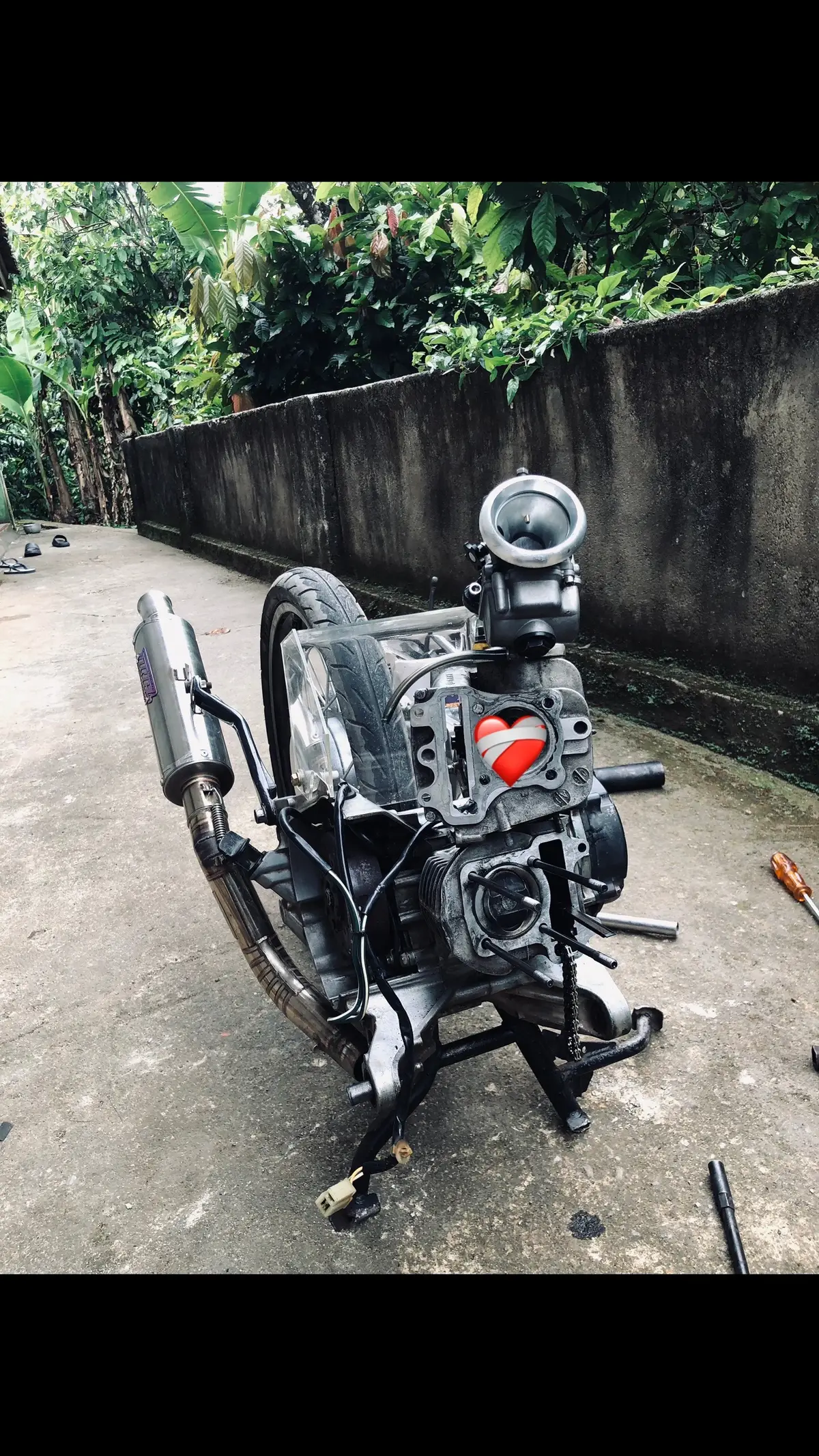 #beat130std #pringsewulampung #foryoupage 