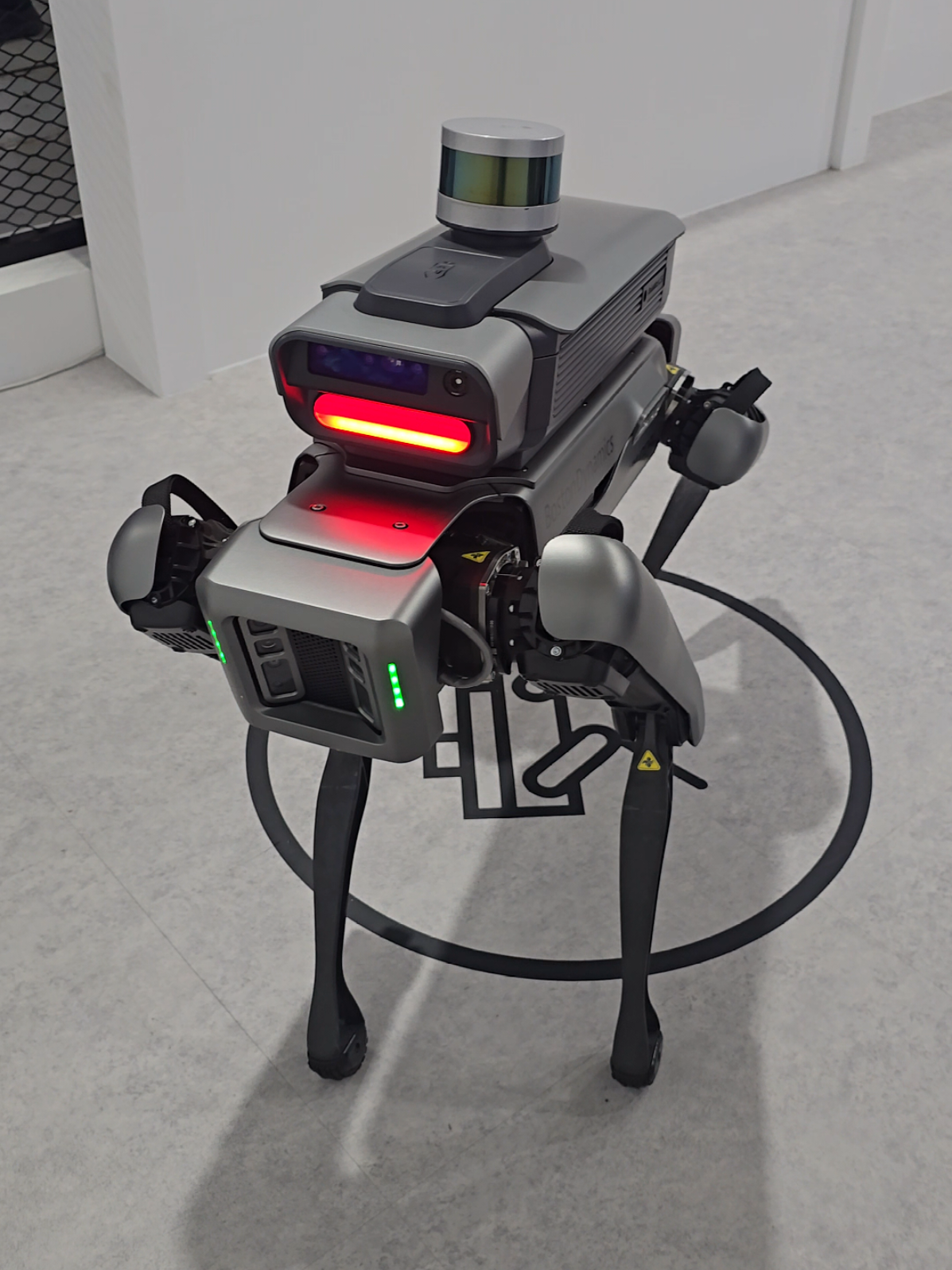 어서 너를 입양하여 리트리버 털옷 입혀주고 타고 다니고 싶다 ㅋㅋㅋ #2025메타버스엑스포 #현대자동차그룹 #보스톤다이나믹스 #로봇개