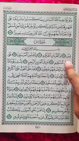 Recitation Of Quran Surah Ya-Sin 📖 🎧 💝 #🤍 #quran #fyp #fypシ #tiktok #viral #foryoupage #growmyaccount #unfrezzmyaccount 
