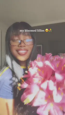 my favourite flowers of all time💖🥹💐#lillies#flowers#lillyflower#fyp 