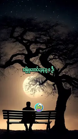 အမြဲပူလောင်နေရသူ ၈ဦး ပူလောင်ခြင်း #ဒေါသ #သံသယ #ဗဟုသုတ #share #foryou #fyp #facts #dhammahline 
