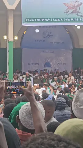Мєωℓι∂ 💚 #ethiopian_tik_tok #menzuma #mewlid #fyp #muslimtiktok 