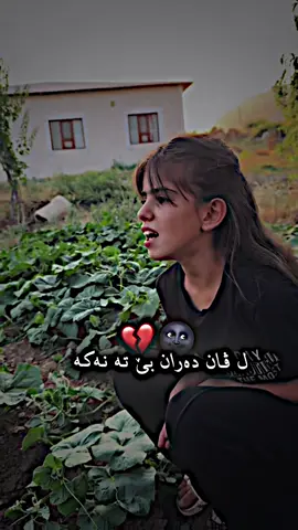 دەردێ دلـم گـران نـەکـە💔🥹 * 𝗚𝗨𝗧𝗜𝗡 ➩ 𝐃𝐀𝐑𝐃𝐄 𝐃𝐋𝐌 𝐆𝐑𝐀𝐍 𝐍𝐀𝐊𝐀 ⟲ 𝐒𝐍𝐀𝐏𝐂𝐇𝐀𝐓➩ 𝐦𝐳𝐢𝐫𝐢𝟏.𝟖𝟖  ⬂⬂⬂⬂⬂⬂⬂⬂⬂⬂⬂⬂⬂⬂⬂⬂⬂⬂⬂⬂ #rashkoo_edit88 #song #fypシ゚ #foryou #foryoupage #kurd #kurdistan #tiktok #editor 