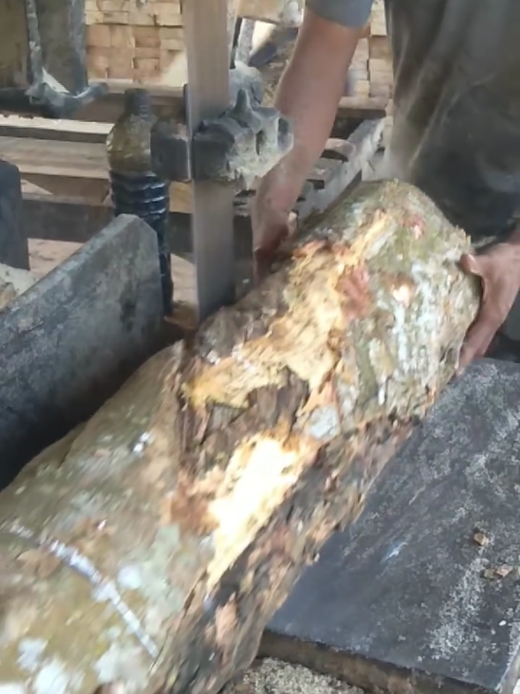 #woodworking #cuttingwood 