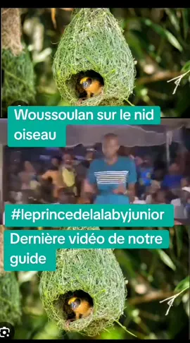 #leprincedelalabyjunior 