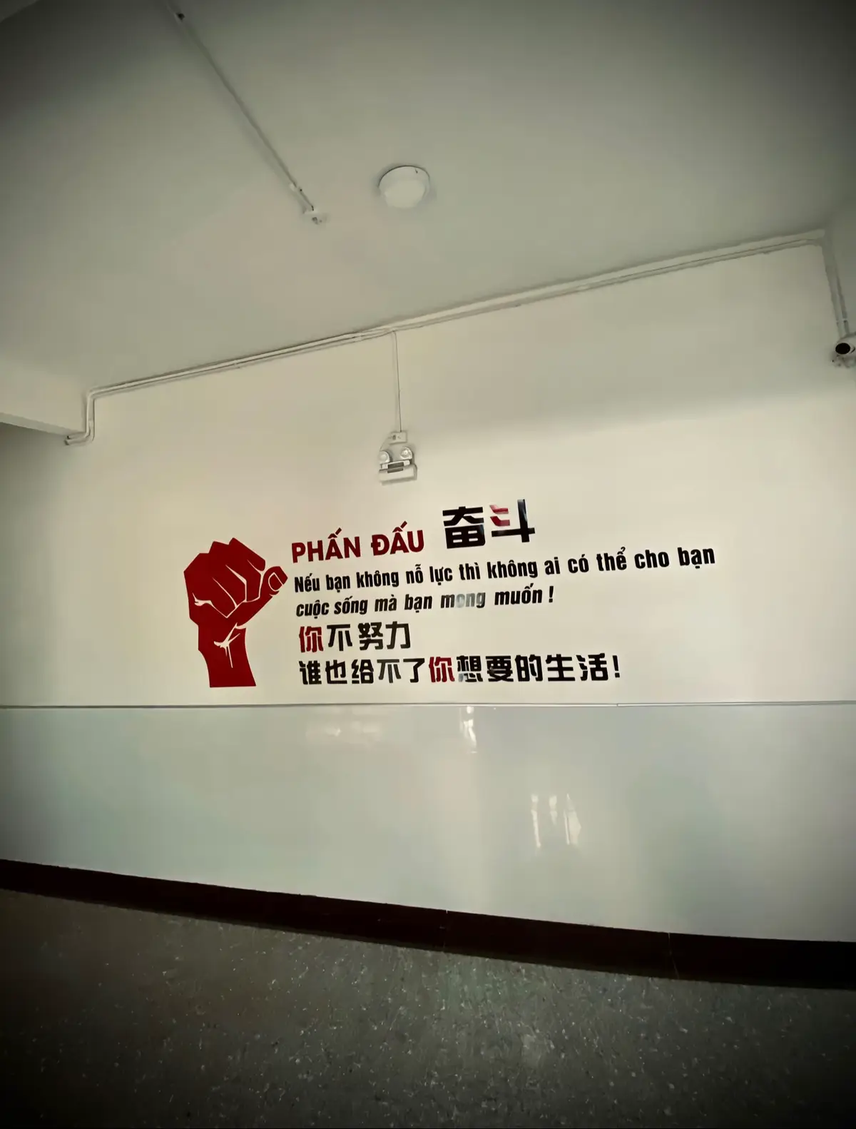 我曾经很善良，帮助任何需要我的人.. 但现实教会了我，如果善良没有回报，我必须残酷地生活！
