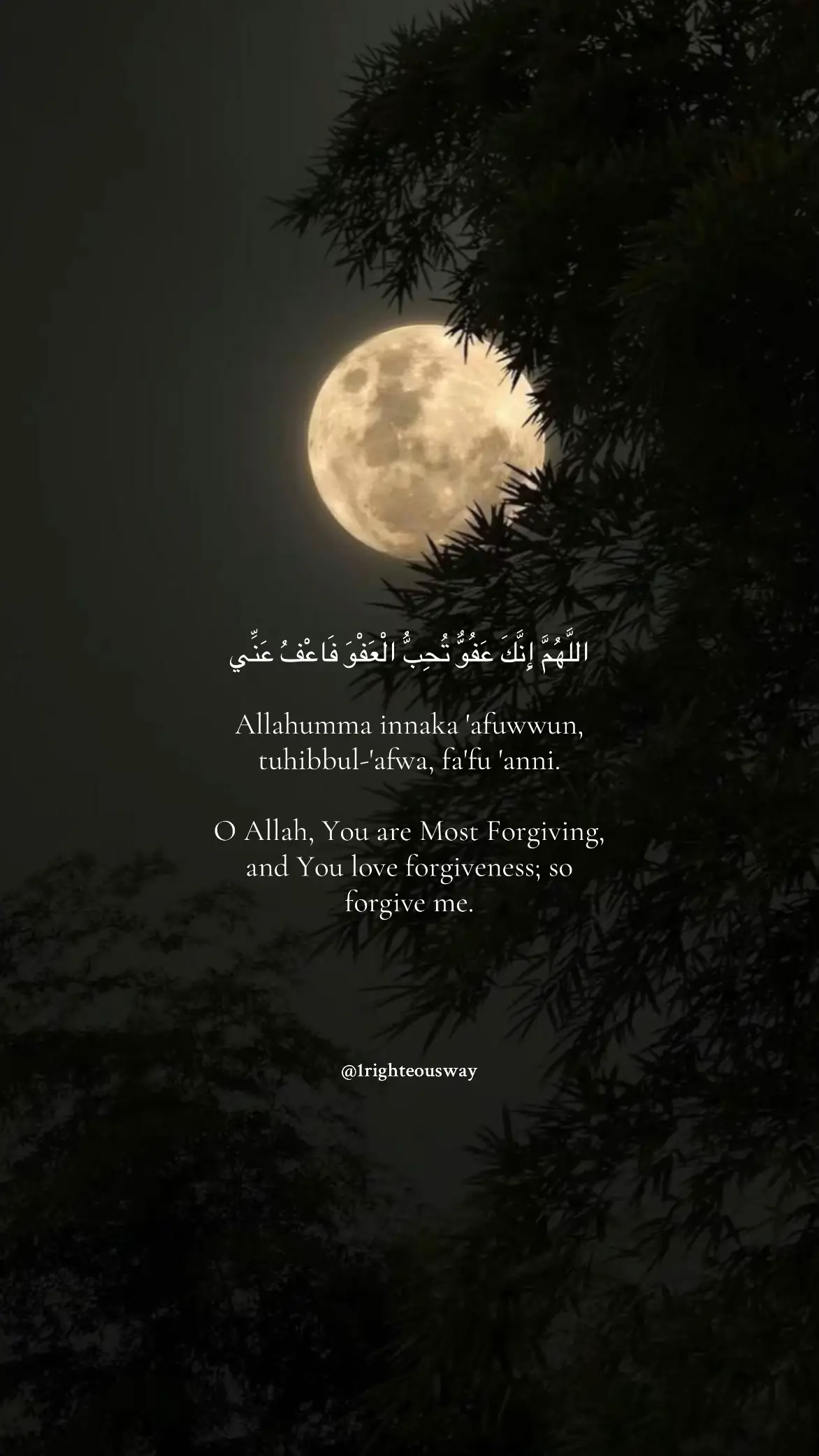 #powerful #dua #for #forgiveness #remember #allah❤️ #fyp #foru #foryoupage❤️❤️ #muslim #islamiccontent #status 