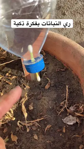 ري النباتات بفكرة ذكية #ري#شجر#نبات#نباتات #زراعة#فكرة#افكار_وابداعات_بسيطة #اكسبلور  