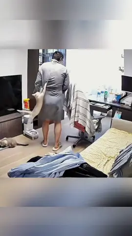 Try not to laugh 😂😂😂 #animals #funny #pet #dog #funnyanimals #funnyvideos #haha #dogsoftiktok #cat #funnypets #PetsOfTikTok 