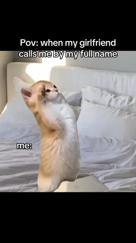 identifaible😂? #relatable #girlfriend #boyfriend #Relationship #relationshipgoals #couple #couplegoals #fyp #viralvideo 