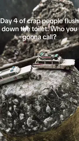Who you gonna call? #ghostbusters #toilet #toiletpaper #wastewater #fyp #whoflushedit #cars #trash #funny #viral #poop #dailyvids #trend #sewer #babywipes #day4 #water 