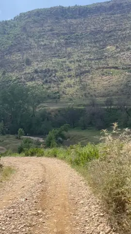 #هاني_شاكر_🎶🎵🎤🔚_ملك_الاحساس🖤 