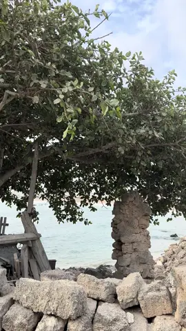 #explore #محلي #الحمدلله_دائماً_وابداً #اكسبلورexplore #ماشاءالله #الشعب_الصيني_ماله_حل😂😂 #2025 #fypシ #follow #مشاهير_تيك_توك #السعوديه #uae #ترند #foryou #like #unboxing #خريف_صلاله #مرباط 