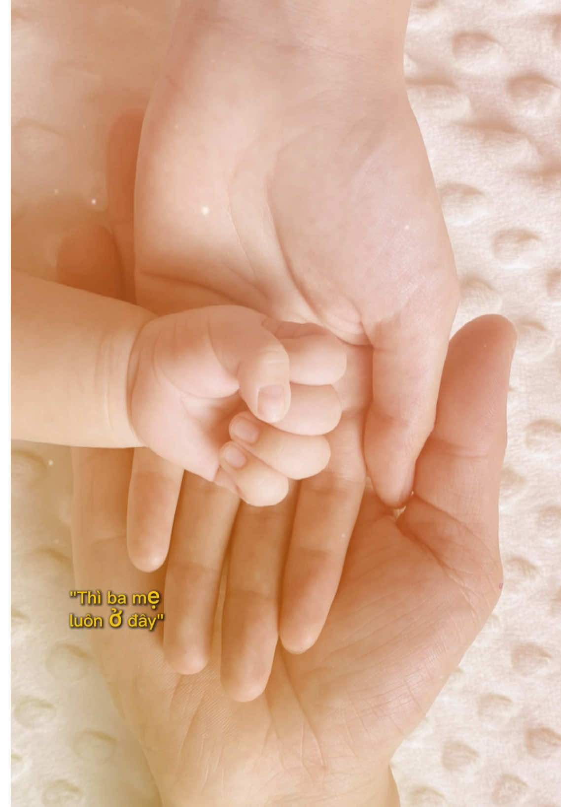 #CapCut  từ câu : “ chào em , anh là …. “ đến câu “ vợ ơi , con đâu” là cả một hành trìn có thể không bằng phẳng, nhưng hôm nay chúng mình vẫn ở đây nắm lấy tay nhau, bình an bên nhau thật lâu ! Để sau này sẽ là câu “ bà ơi, hẹn bà kiếp sau “ ❤️#xuhuongtiktok #xuhuong #meTinTin #TinTinxinchao #trending #embedangyeu #landaulamme #landaulamme 