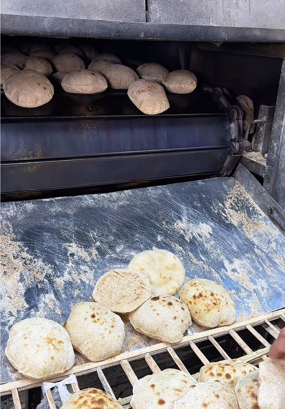 Durmadan Ekmek Üretiyorlar Yetişemiyorlar !  Kahire Mısır  #ekmek #nan #somun #şepe #şavarma #lavaş #kahire #mısır #food #sokaklezzetleri #reels 