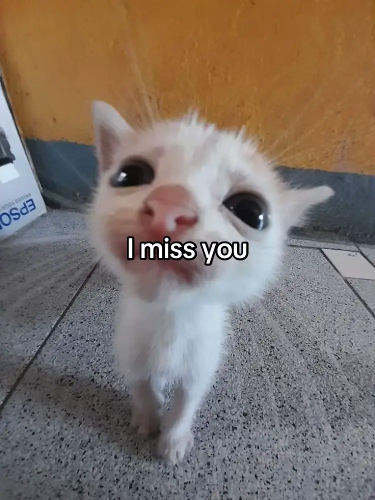 #fyppppppppp#foryou