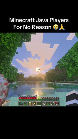 Minecraft Java Players #Minecraft #fyp #meme 