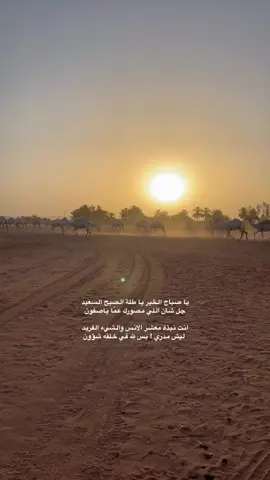 #غلا_الاومير #ماشاءالله #محبوبات #سعد_بن_جدلان 