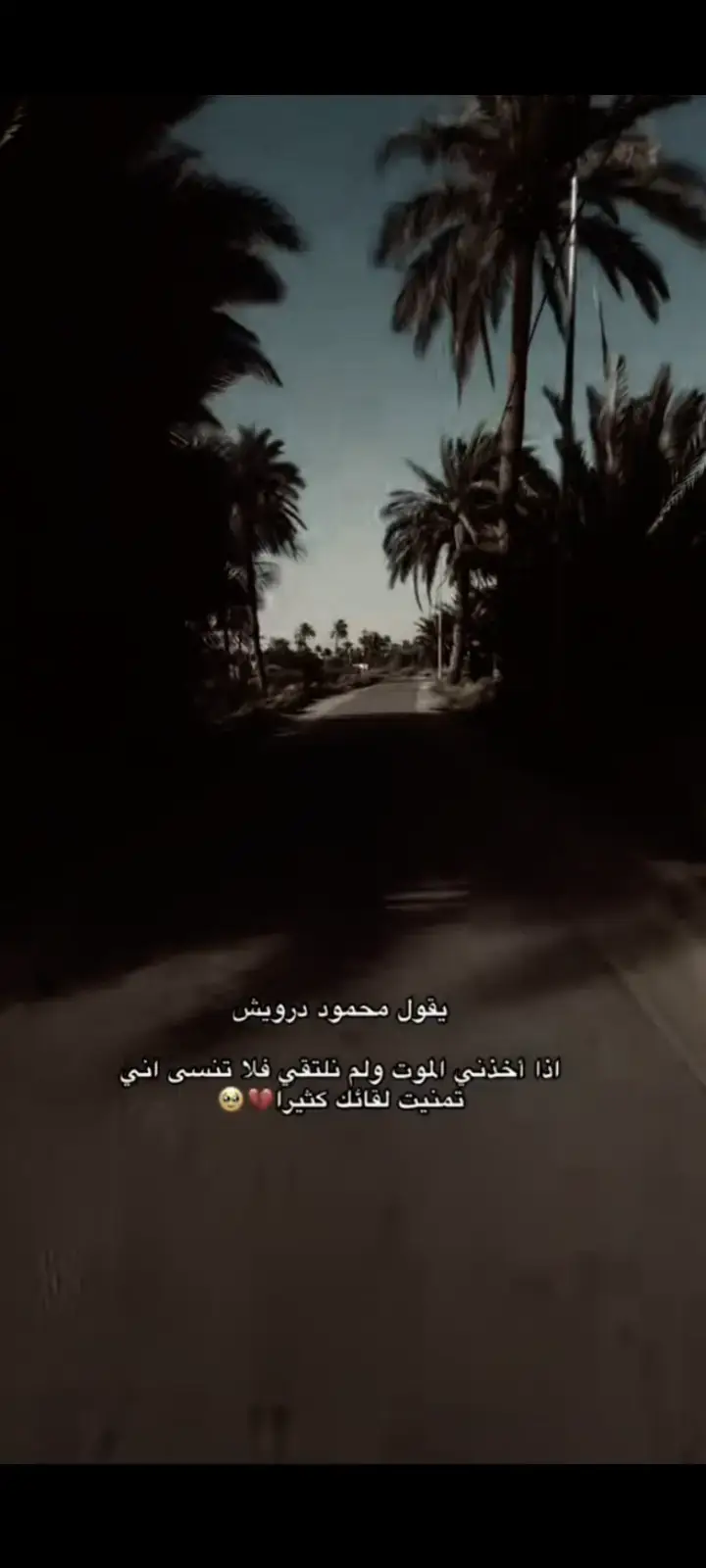 تمنيت لقائك كثيرا.😕🦋