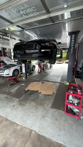 #Tatcha #fyp #cars #mustang #michigan #mustanggt #hellcat #dearbon ##mustang #dearborn #fastcars 