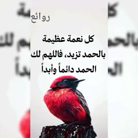 #ابي #للعقول_الراقية_فقط🤚🏻💙 