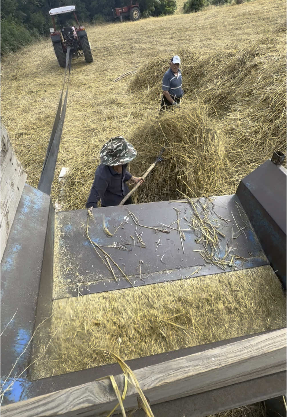 #hasatzamanı #arpa #7056newholland #5556 #patoz #keşfetbeni #keşfet #newholland #türkfiat #