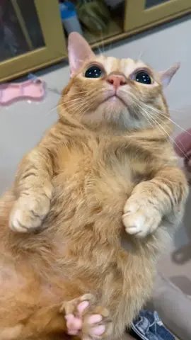 จุ้บๆๆๆซูบี้
