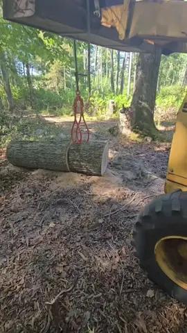 this timber claw hook will help out getting those big tree limbs. #timberclaw #timberhook #loghook #hook #timber #loglifter #timberclawhook #vevortools #vevorsummerlife 