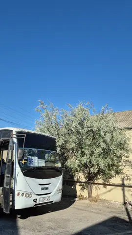 🖤#iveco #eurocity #77cx351 